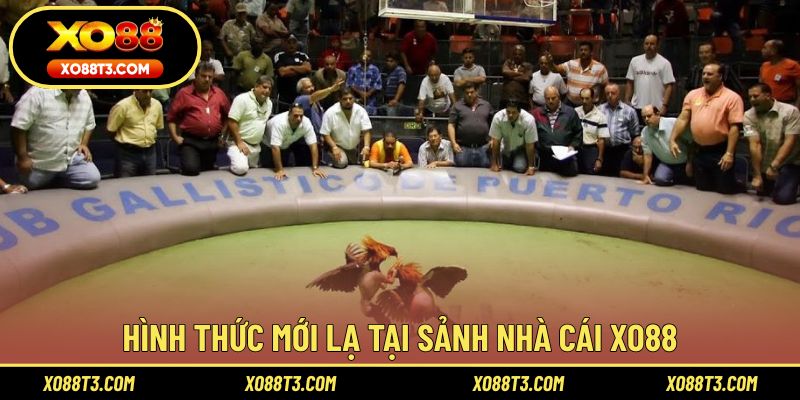 Hình thức mới lạ tại sảnh nhà cái XO88