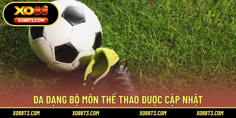 Đa dạng bộ môn thể thao được cập nhật